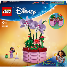                             LEGO® │ Disney Princess™ 43237 To-be-revealed-soon                        