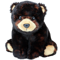 Beanie Babies Kodi, 15 cm - černý medvěd (3)