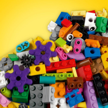                             LEGO® Classic 11019 Kostky a funkce                        