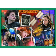                             Puzzle 10v1 Harry Potter - Ve světě Harryho Pottera                        