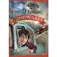                             Puzzle 104 dílků Harry Potter                        