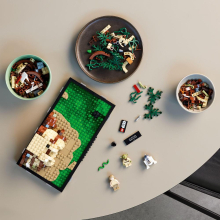                             LEGO® Star Wars™ Jediský trénink na planetě Dagobah™ – diorama                        