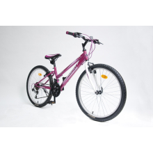                             Dětské kolo Respect bike - Offy 24 - růžové                        