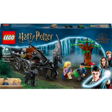                             LEGO® Harry Potter™76400 Bradavice: Kočár a testrálové                        