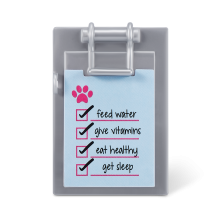                             Veterina Sparkle Girlz                        