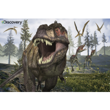                             Puzzle 3D Tyrannosaurus Rex 150 dílků                        