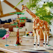                             LEGO® Creator 3 v 1 31150 Divoká zvířata ze safari                        