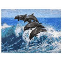                             Malování podle čísel na plátno Delfín 30x40 cm                         