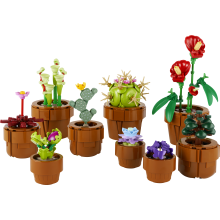                            LEGO® Icons 10329 Miniaturní rostliny                        
