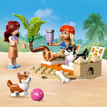                             LEGO® Friends 42641 Dobrodružství se surfujícími psy a skútrem                        