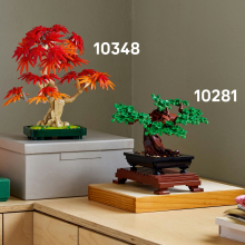                             LEGO® Botanicals Bonsaj – Japonský červený javor                        