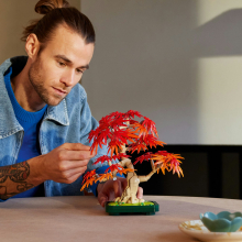                             LEGO® Botanicals Bonsaj – Japonský červený javor                        