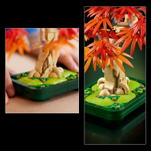                             LEGO® Botanicals Bonsaj – Japonský červený javor                        