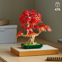                             LEGO® Botanicals Bonsaj – Japonský červený javor                        