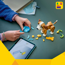                             LEGO® 31382 Creator 3v1 Roztomilá zvířata: Roztomilé štěňátko                        