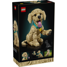                             LEGO® 11384 Icons Štěně zlatého retrívra                        