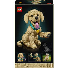                             LEGO® 11384 Icons Štěně zlatého retrívra                        