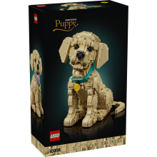                             LEGO® 11384 Icons Štěně zlatého retrívra                        