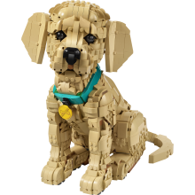                             LEGO® 11384 Icons Štěně zlatého retrívra                        
