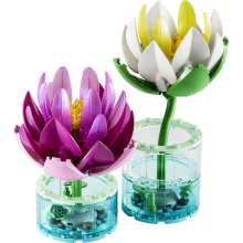                             LEGO® Botanicals 11511 Lekníny                        