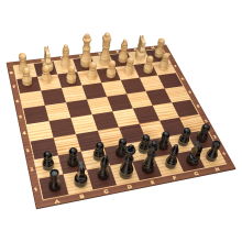                             Klasické šachy                        