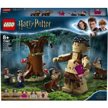                             LEGO® Harry Potter™ 75967 Zapovězený les: Setkání Drápa a profesorky                        