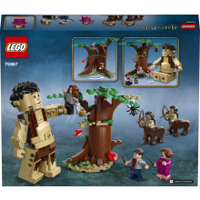                             LEGO® Harry Potter™ 75967 Zapovězený les: Setkání Drápa a profesorky                        