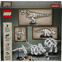                             LEGO® Ideas 21320 Dinosauří fosilie                        