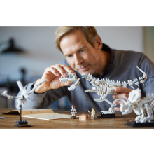                             LEGO® Ideas 21320 Dinosauří fosilie                        