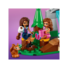                             LEGO® Friends 41677 Vodopád v lese                        