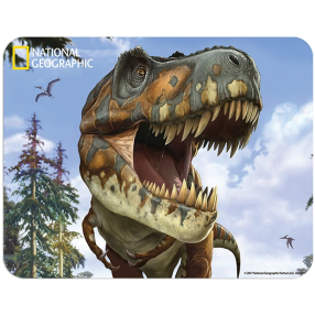 Magnet 3D Tyrannosaurus Rex