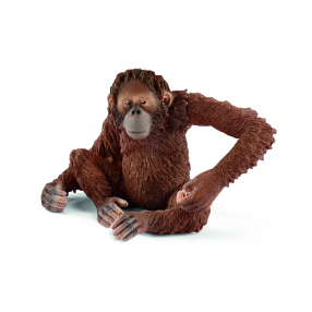 Zvířátko - orangutan samice