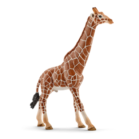 Zvířátko - žirafa samec