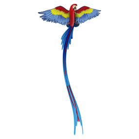 Drak Pop Up - 3D Papoušek