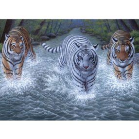 Malování velké Royal Tři tygři
