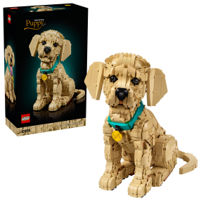 LEGO® 11384 Icons Štěně zlatého retrívra