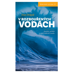 V rozbouřených vodách
