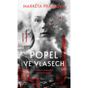 Popel ve vlasech