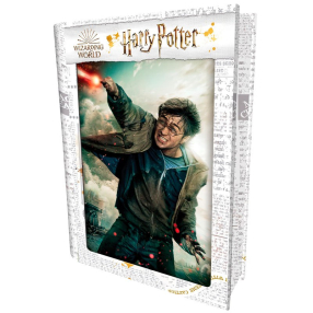 3D PUZZLE Harry Potter-Harry Potter 300ks