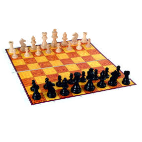 Šachy Steution