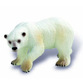 Lední medvěd