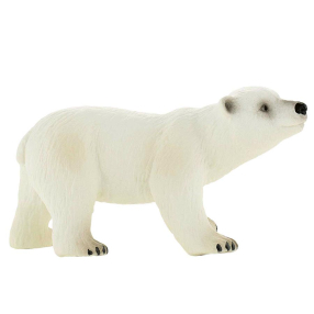 Lední medvídě