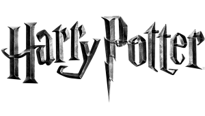 Perplexus - Harry Potter - Spin Master