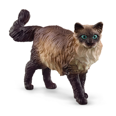 Zvířátko - kočka Ragdoll