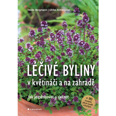 Léčivé byliny v květináči a na zahradě