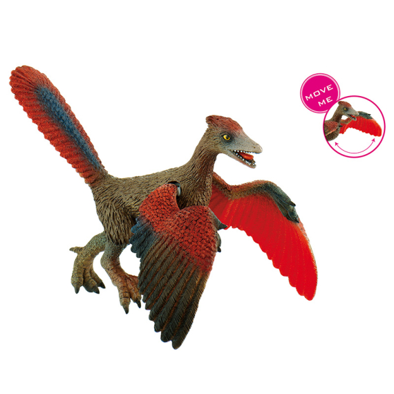 Archeopteryx střední                    