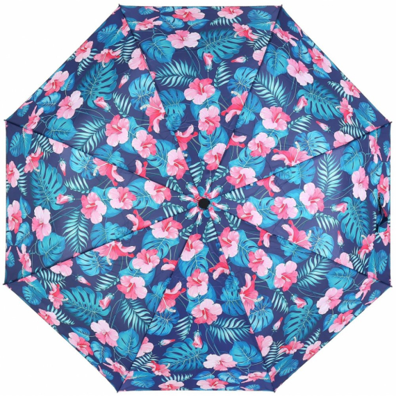 Deštník                    