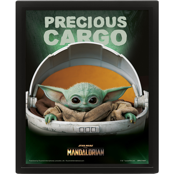 E-shop 3D obraz Mandalorian (Precious Cargo)