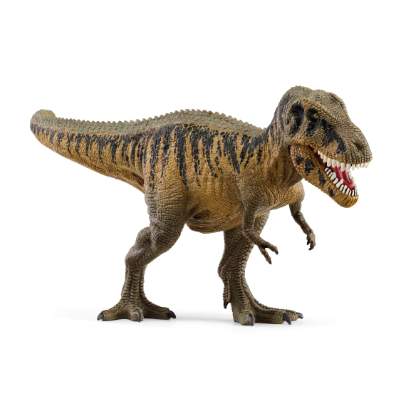 Tarbosaurus                    