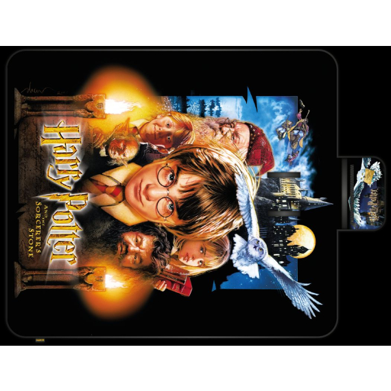 Pikniková deka Harry Potter 20let                    